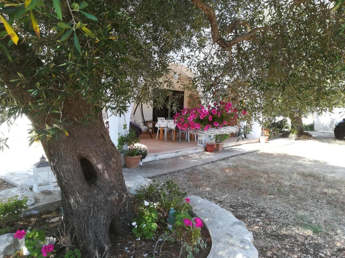 Trullo Alessandro E Villa Raffaela San Vito dei Normanni Exterior photo